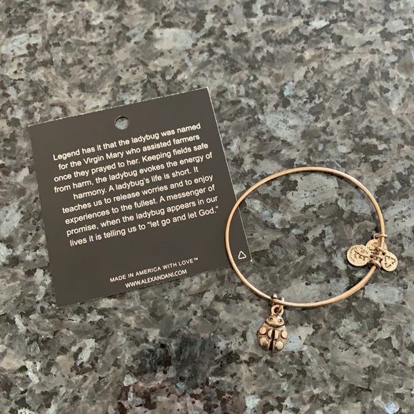 Alex and Ani bracelet - Picture 4 of 4